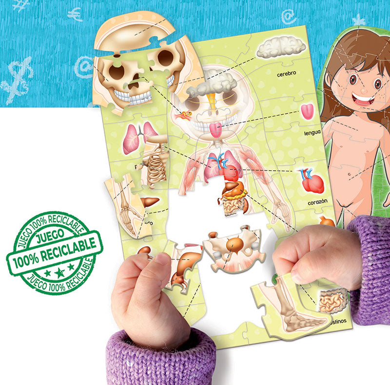 El Cuerpo Humano - Educa